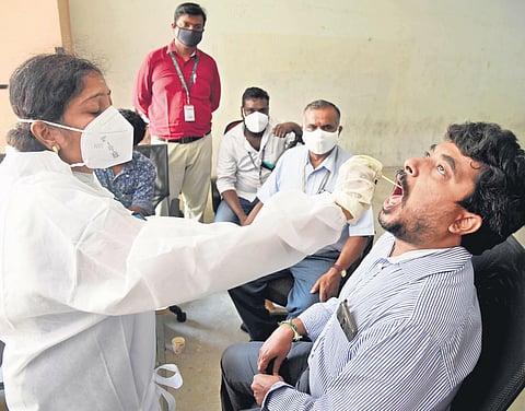 A health worker taking swab sample at a private building in Rukmani Lakshmipathi Road, in Chennai on Monday. (Photo | R Satish Babu/EPS)