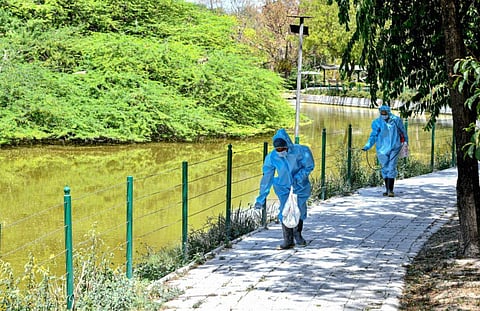 Workers , wearing PPE, sanitise the Delhi Zoo ahead of its reopening, amid a countrywide spike in coronavirus cases, in New Delhi. (Photo | PTI)