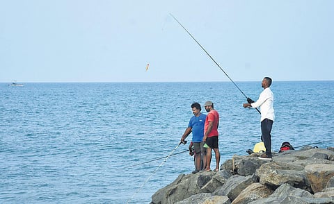 photo: ashwin prasath