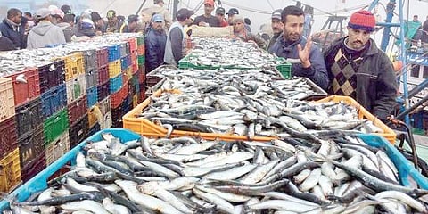 Eye on 30% domestic market, government plans 100 aqua hubs in Andhra; first one at Penamaluru  