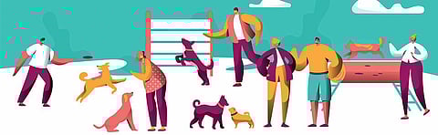 For representational purposes