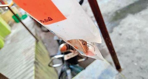 Dead frog found in milk packet