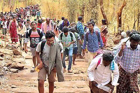 Nallamala forest comes alive with Shiva deeksha pilgrims