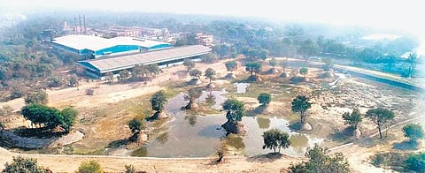 Barren land in Dwarka turns into waterbody