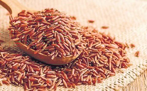 Nurturing with navara