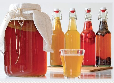 Kombucha