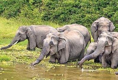 For representational purposes