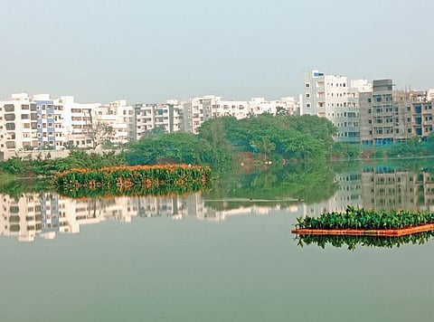 Bio enzymes to maintain healthy lakes