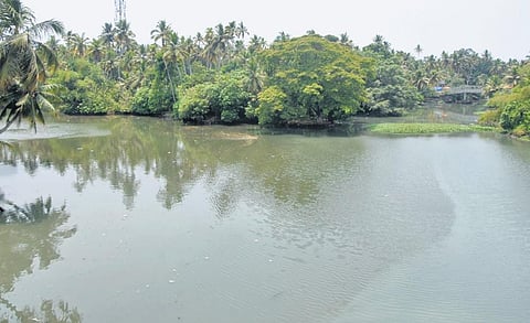 The stretch at Thiruvallam where the Paravathy Puthanar and Karamana river joins has become highly polluted with all sorts of waste dumped by the public. The Karamana river has been declared as the mo