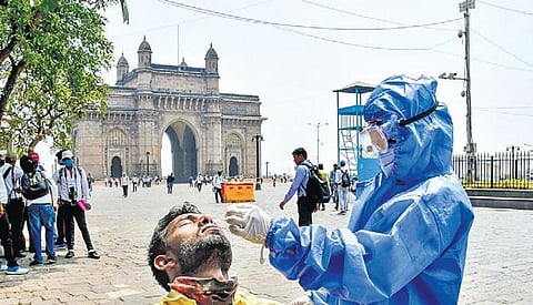 A health worker collects sample at the Gateway of India in Mumbai. (Photo | PTI)