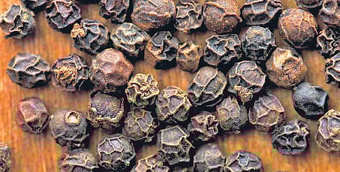 Food is your medicine in Sattvic diet