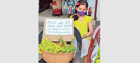 Olivea sells kanikkonna flowers at Pattikkad on Tuesday |  Express