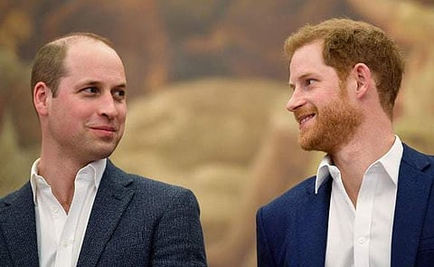 British royals William and Harry (Photo | AFP)