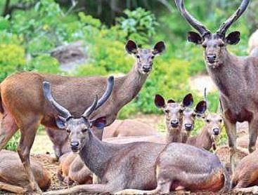 For representational purposes