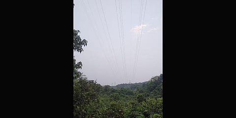 Greens irked over power line through reserves