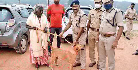 Munnar DySP R Suresh handing over Koovi, the dog rescued by police dog squad from Pettimudi landslide site, to Palaniamma, the grandmother of her master