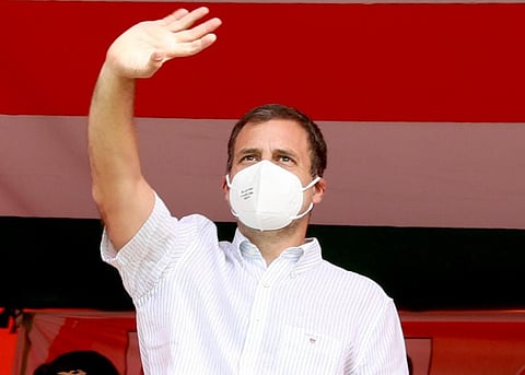 Congress leader Rahul Gandhi (Photo | Rahul Gandhi, Twitter)