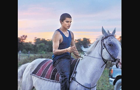 The film begins with these lines about a horse Johnny is riding “If you are gonna keep on running your horse, you gonna break his spirit. You need to leave a little bit of the wild they are born with.