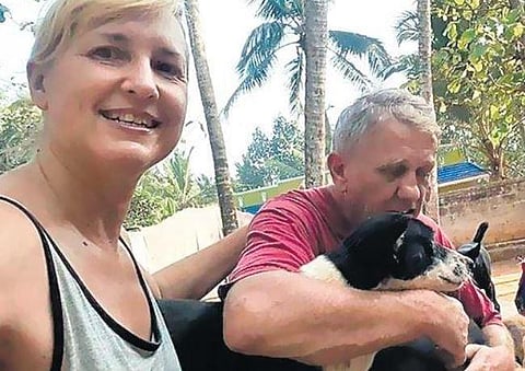 Mary and Steve Muscroft have been on a mission to provide succour to strays.