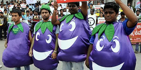 Activists staging a protest against genetically modified (GM) food crops. (File Photo |  Nagaraja Gadekal, EPS)