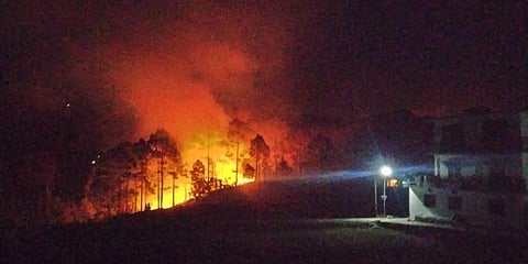 Forest fire in Uttarakhand (Photo by special arrangement)