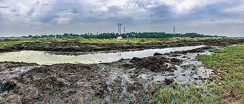 (Representational Image)