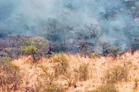 Kappatagudda sees 15 fires in 3 months, foresters up vigil