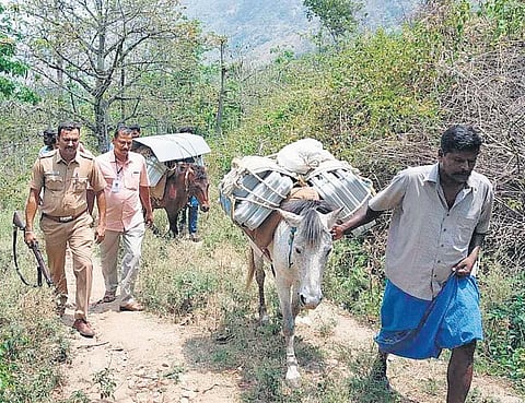 EVMs transported through horses to hilly region