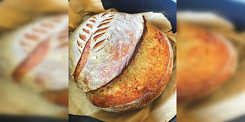 Whole-wheat sourdough boule