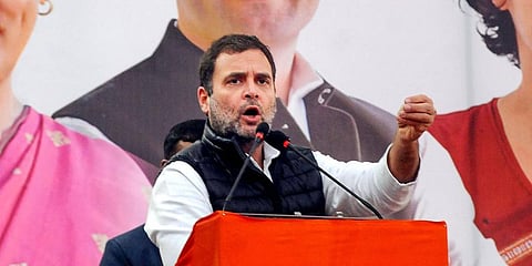 Congress MP Rahul Gandhi (Photo | PTI)