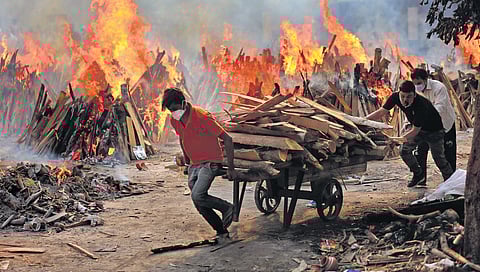 CPI-ML survey finds over 6,000 unreported Covid deaths in Bihar, submits findings to Speaker