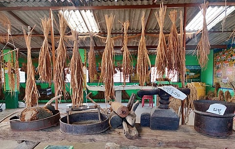 Rice museum in Shivalli village