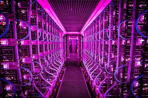 Enclosed state-of-the-art photo-bioreactors produce chlorella and spirulina algae (Photo | AFP)