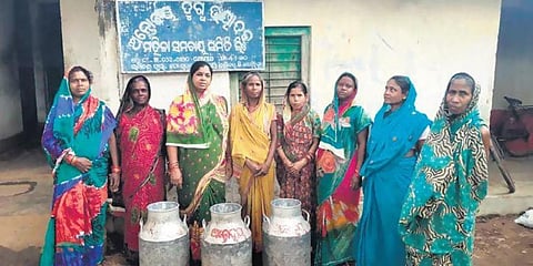 Women dairy farmers of Antodaya Cooperative Society in Salijanga village. (Photo | EPS)