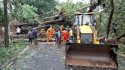 NDRF team clears a road blocked by the falling of trees due to strong winds during the formation of cyclone Tauktae, near TB hospital in Panaji. (Photo | PTI)