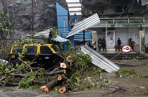 A taxi car that was damaged after a tree fell on it during a heavy rain in Mumbai, India, Monday. (Photo | AP)