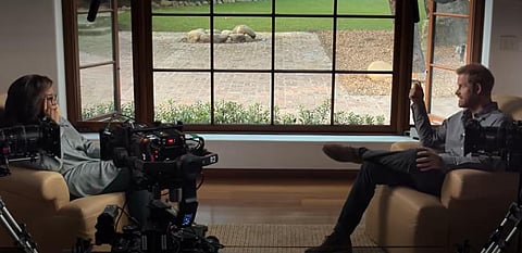 Oprah Winfrey (L) and Prince Harry (R) in a still from 'The Me You Can't See' (Photo | YouTube screengrab)