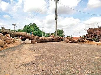 Villagers had blocked the road leading to the village with a huge tree trunk to restrict movement of vehicles | EXPRESS
