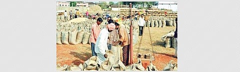 Govt issuing coupons to procure paddy at doorstep of  farmers, says Kodali Nani