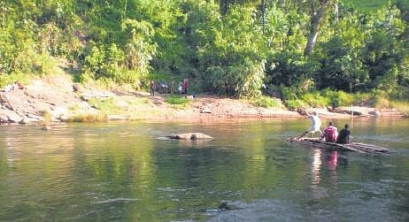 Thinking on their feet: How this Kerala tribal village kept pandemic away