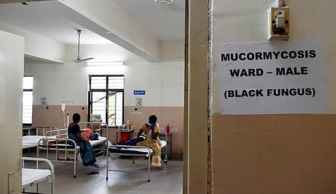 Patients diagnosed with Mucormycosis (black fungus) taking treatment at a hospital. (Photo | S Senbagapandiyan, EPS)