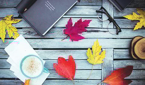 For representational purposes