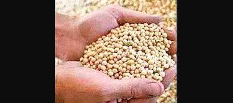 For representational purposes