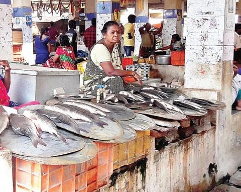 Fish exports to neighbouring Tamil Nadu, Odisha and Telangana from Nellore district have plummeted.