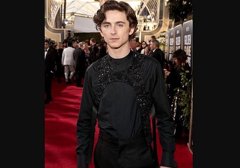 Actor Timothee Chalamet. (Photo | Twitter)