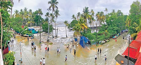 Chellanam cries for help