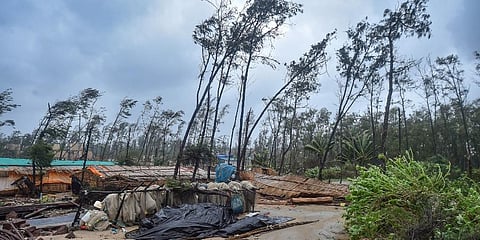 Trees move due to strong wind during Cyclone 'Yaas' landfall, at Digha in East Midnapore district. (Photo | PTI)