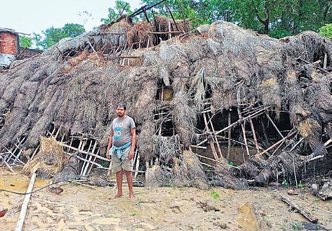 Collapsed thatched house of a villager in Anandapur panchayat of Simulia