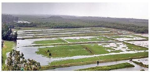 Shrimp farms in Batighar village washed away in the cyclone | EXpress