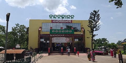 Nandankanan Zoological Park (Photo | EPS)